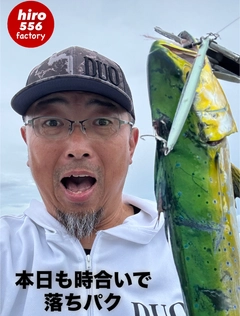 シイラの釣果