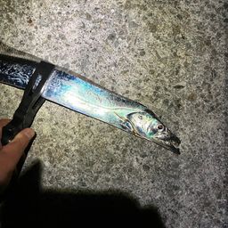タチウオ
