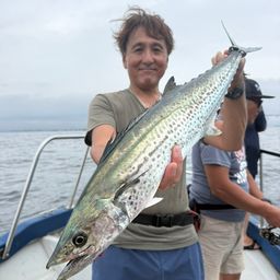 サワラ