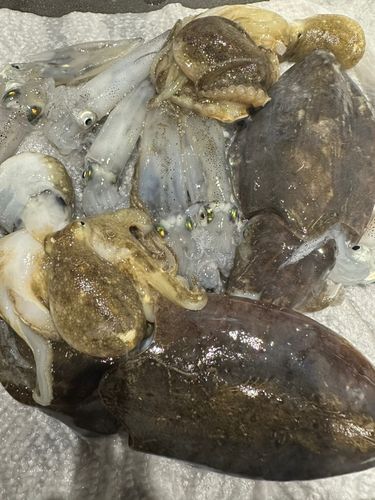 牛窓海水浴場