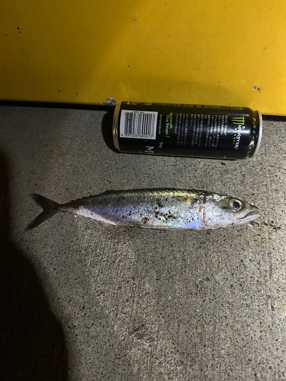 SHIMANO 19ソルティーアドバンス ROCKFISH S76MLの最安値