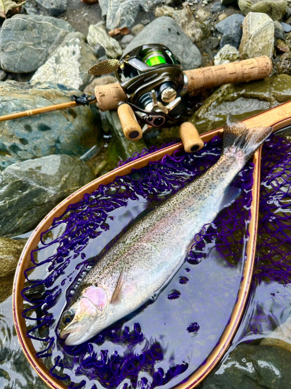 DAIWA 23ピュアリスト 46ULB・Wの最安値・インプレ・釣果 | 本音の