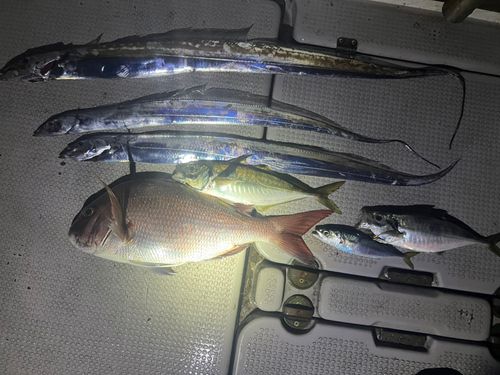 中之作港