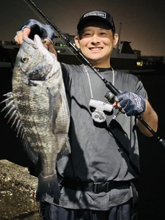 クロダイの釣果