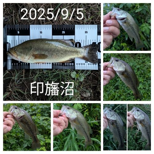 印旛捷水路