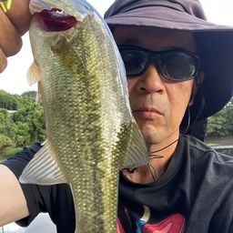 ブラックバス