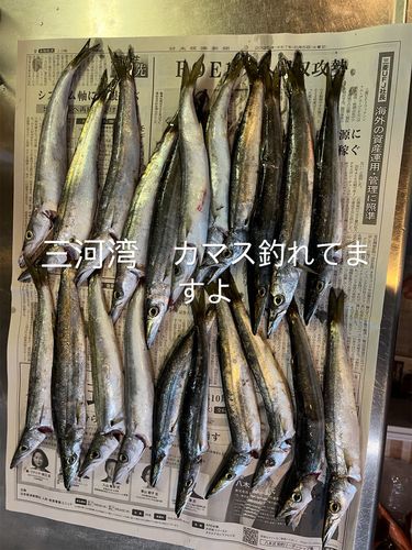 渥美湾