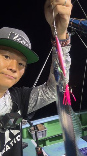 タチウオの釣果