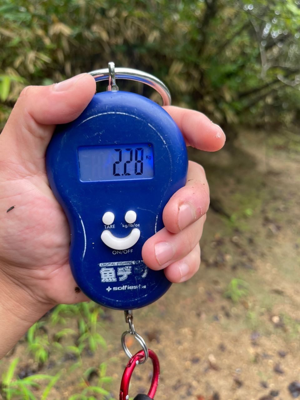 ブラックバス