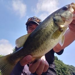 ブラックバス