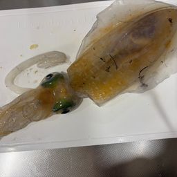 ネリゴ