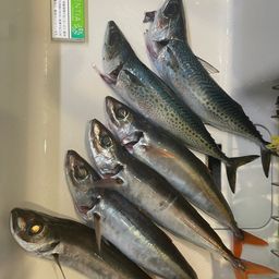 オアカムロ