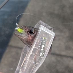 イシモチ