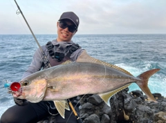 カンパチの釣果