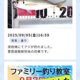 アジ