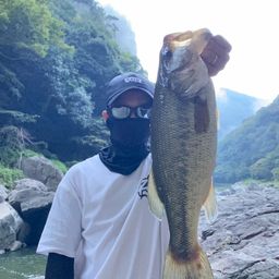 ブラックバス