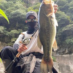 ブラックバス