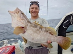 クエの釣果