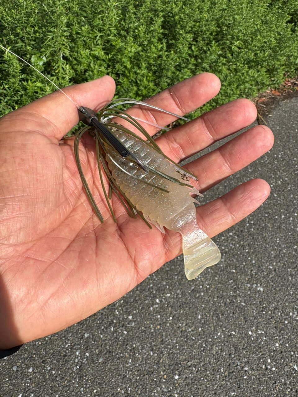 ブラックバス