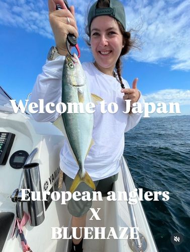 ツバスの釣果