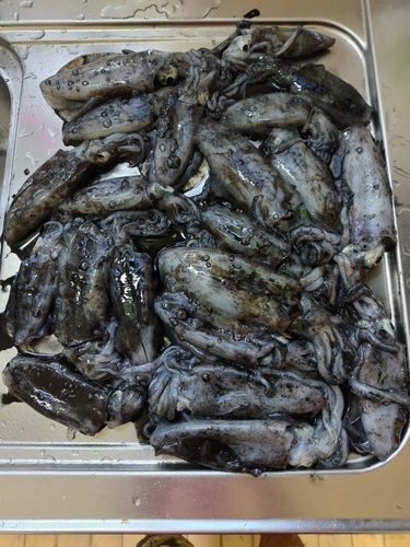 鼠ヶ関港