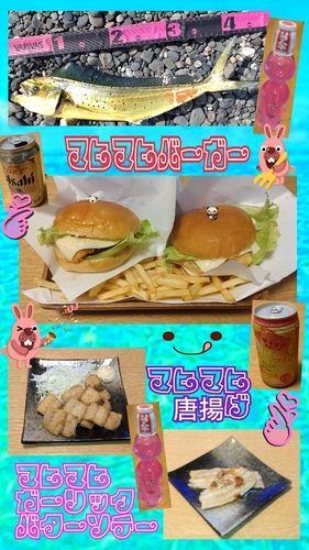 シイラの釣果