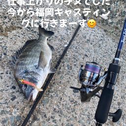 チヌ