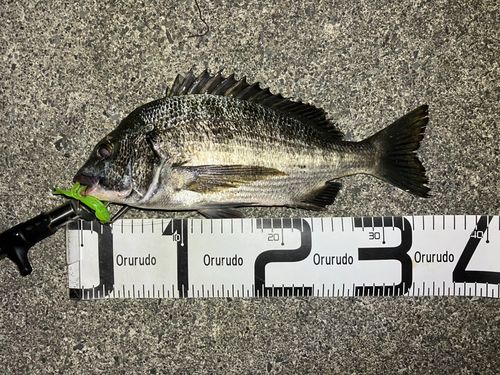 表浜名湖