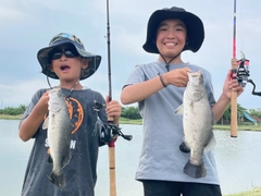 バラマンディの釣果