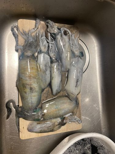 日本鋼管付近