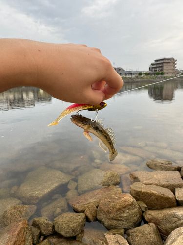 京浜運河