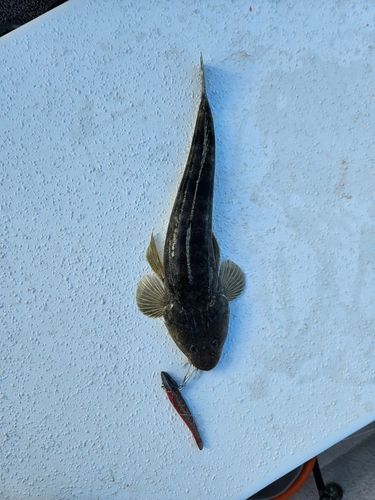 中浜名湖