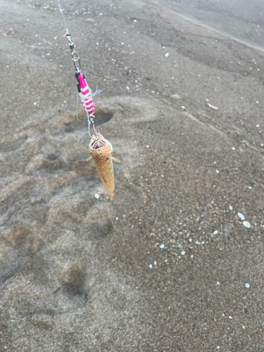 波松海岸