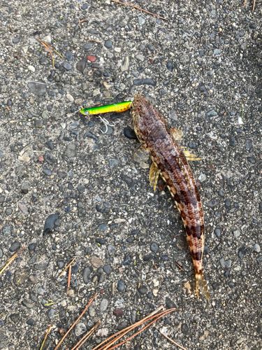 表浜名湖