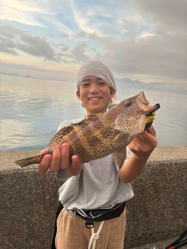 オオモンハタの釣果