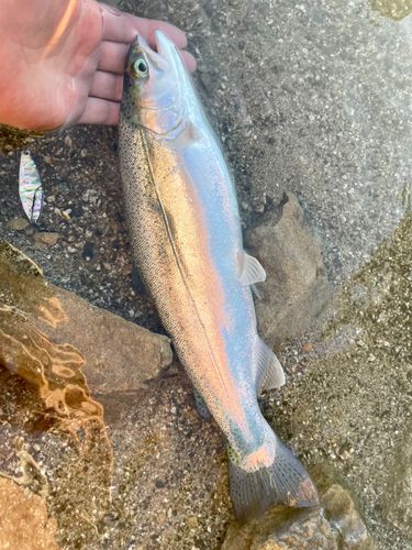本栖湖