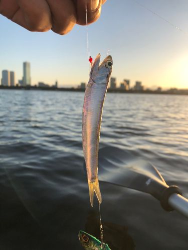 幕張海浜公園