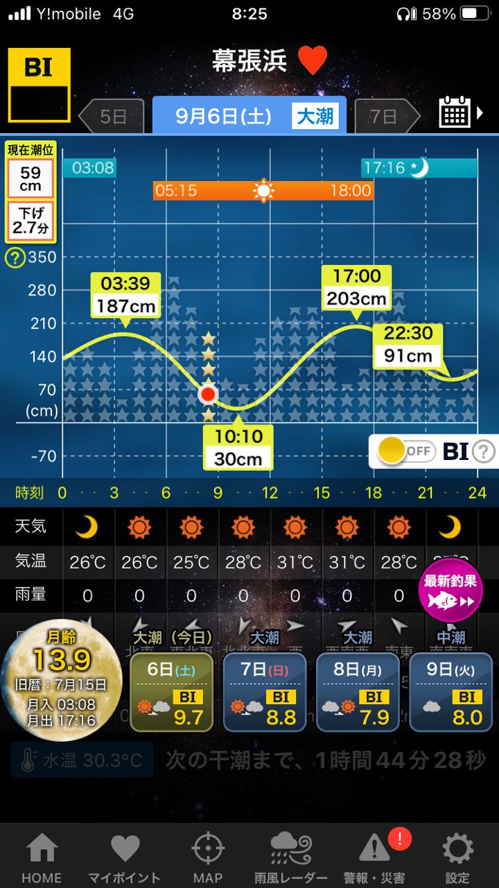 カタクチイワシ