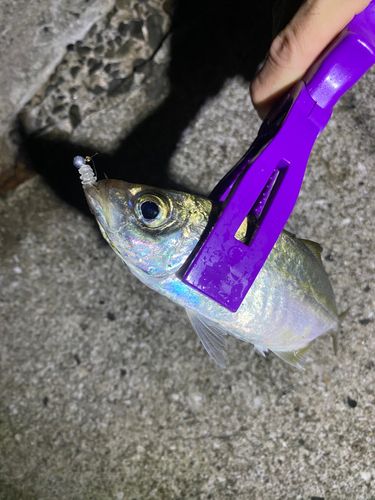 垂水漁港