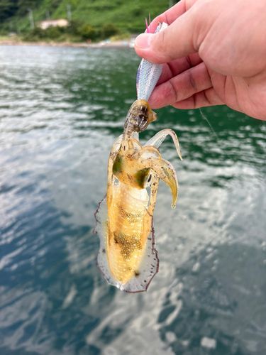 男鹿半島