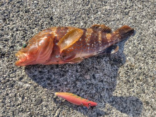 明石海峡