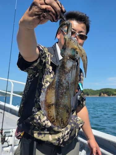 英虞湾
