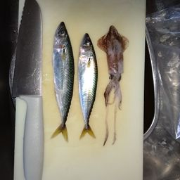 サバ