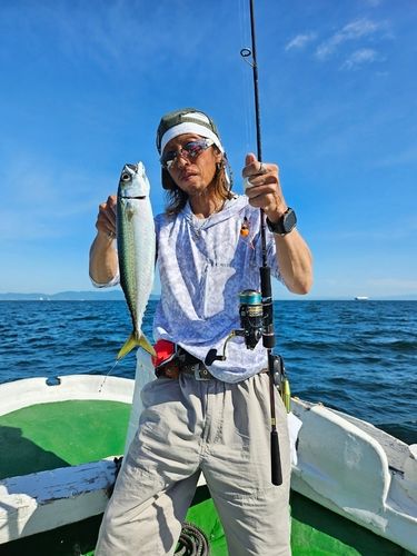 サバの釣果