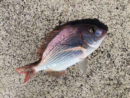 御前湾沖