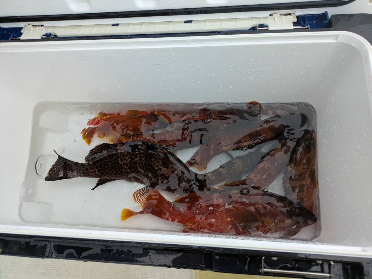 浅海さんの釣果 2枚目の画像