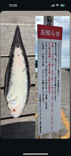 片瀬漁港
