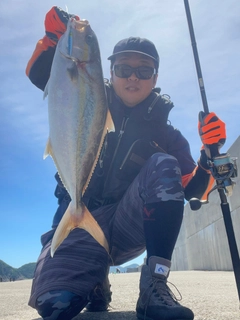 カンパチの釣果