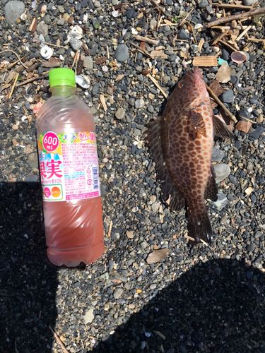 清水港