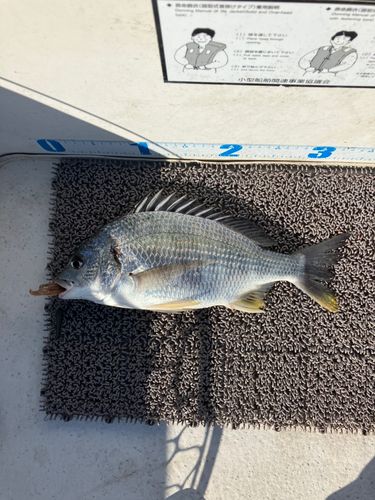中浜名湖